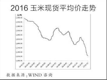 中国玉米产业分析简报,玉米市场权威分析