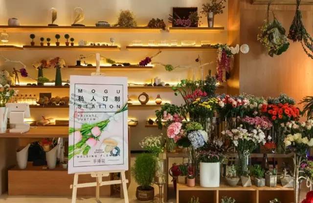 杭州-3℃，西湖边却开出了10000朵鲜花墙，只为让你度过一个史上最最少女心的情人节……