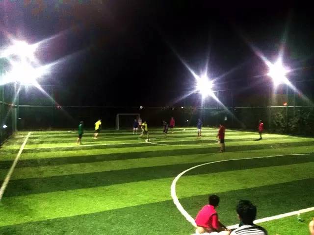 在春天赴一场樱花的约会,在春天去赴一场与花海的约会