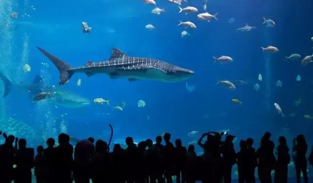 不好意思，中国人想要的春节已经在美国上线