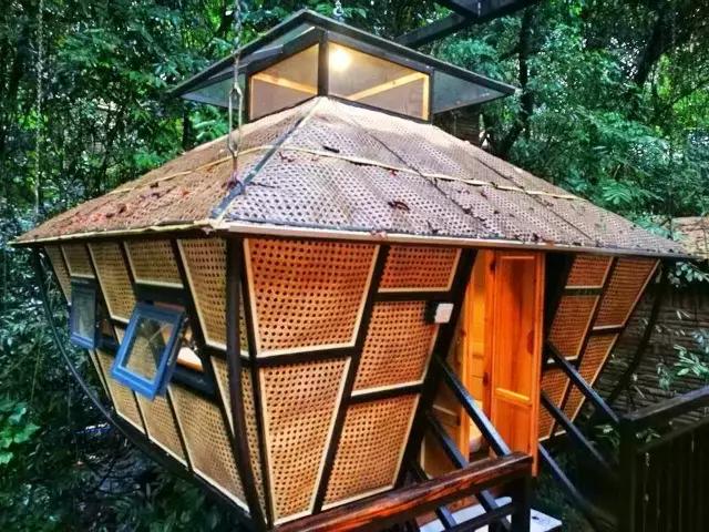 惊！艳！清远这片森林惊现空中吊屋！来过你再也不想回家