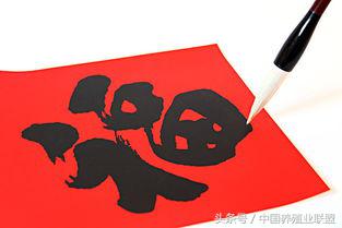 有关于养猪场对联,兔年养猪场春节对联大全