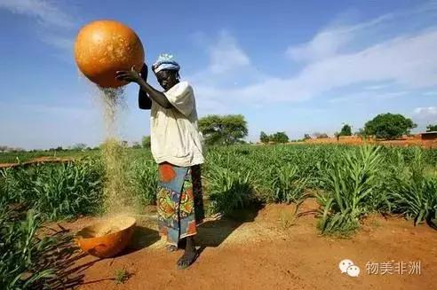 西非尼日尔国家怎么样,尼日尔是阿拉伯国家吗