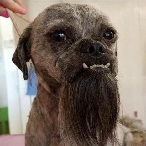 什么情况可以拉黑一个人,为什么会拉黑一个人呢