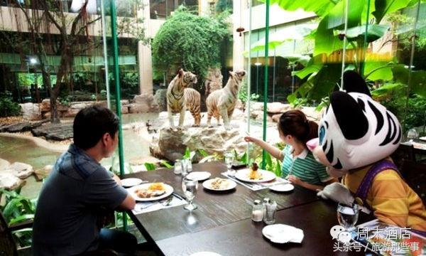 中国亲子度假酒店排名,优选亲子酒店指南