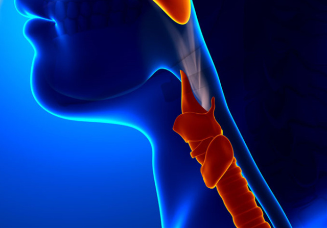 字里藏医课程,字里藏医视频