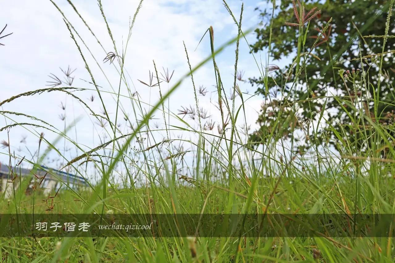 印尼美娜多游玩攻略,美娜多旅行攻略