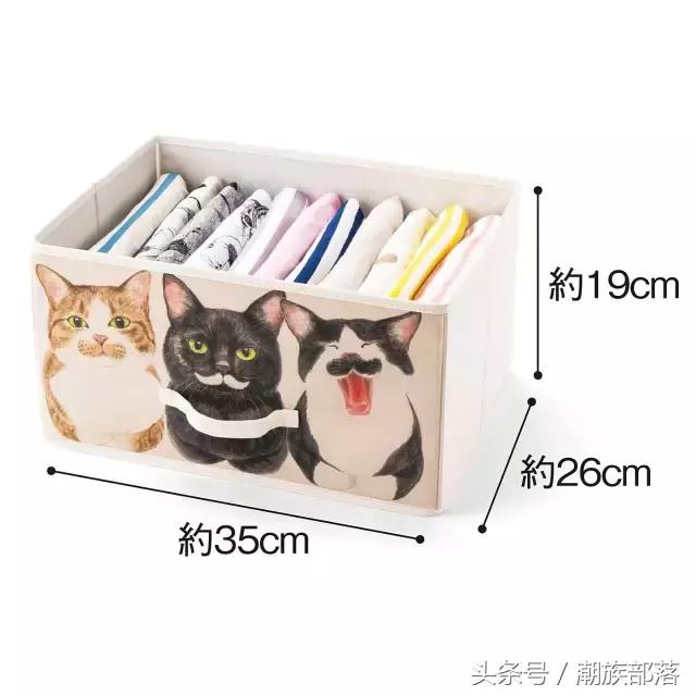 猫控营养补充剂,猫控