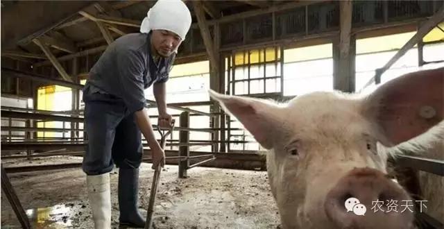 日本:一家一户的小农化也能实现机械化