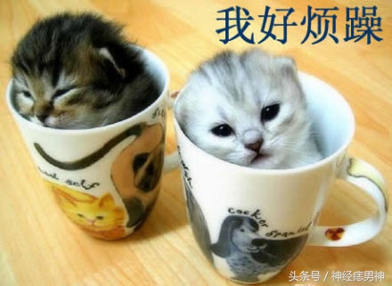 从来没有化过妆玩cos,从没见过这么小众的cos