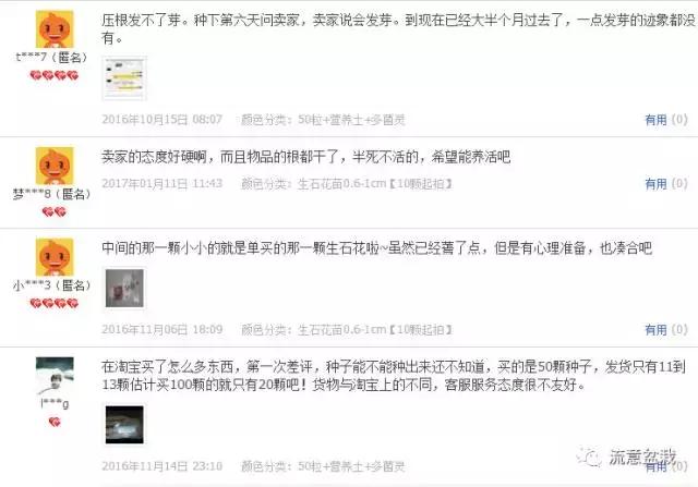 多肉盆里长杂草怎么办,多肉盆里长出的杂草