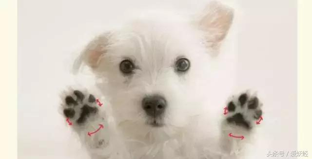 足部养生手法,足部保健有哪些问题