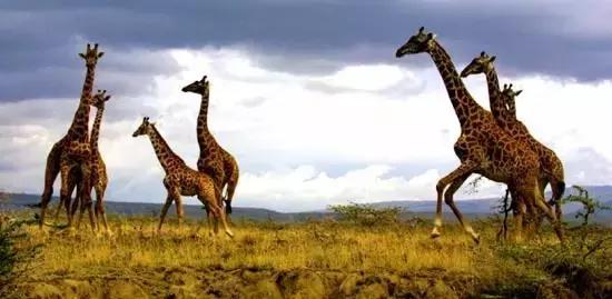 和孩子一起制定下一次旅行的计划,跟着语文书去旅行2020