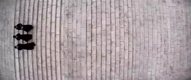 2022口碑炸裂的国产佳片,等了两年拍的视频