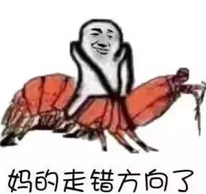 带你去找皮皮虾,皮皮虾你爱去哪