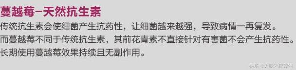 澳洲swisse蔓越莓功效怀孕可以吃吗,swisse高浓度蔓越莓精华怎么吃