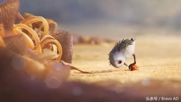 2017年奥斯卡最佳影片动画短片,历年奥斯卡完整获奖名单