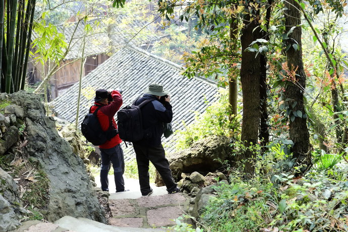 贵州原始古寨景点,贵州清静的古寨