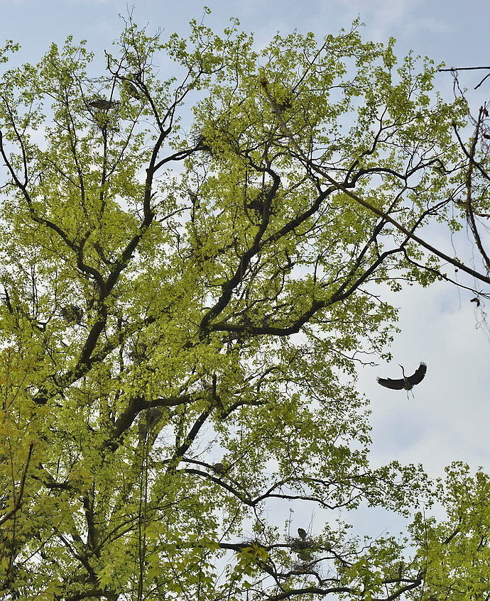 贵州原始古寨景点,贵州清静的古寨