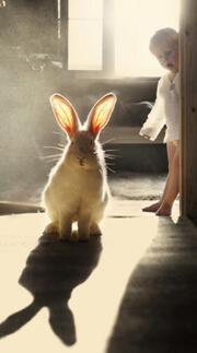 aoeo山茶花氨基酸洗面奶测评,男士洗面奶测评实测第一名排行榜