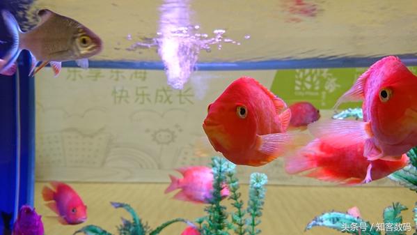 索尼xperiaxz评测,索尼xperia10iii