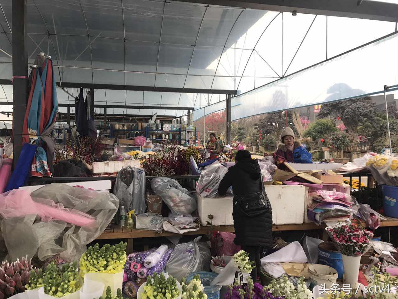 玫瑰价格今日行情,最近玫瑰还会涨价吗