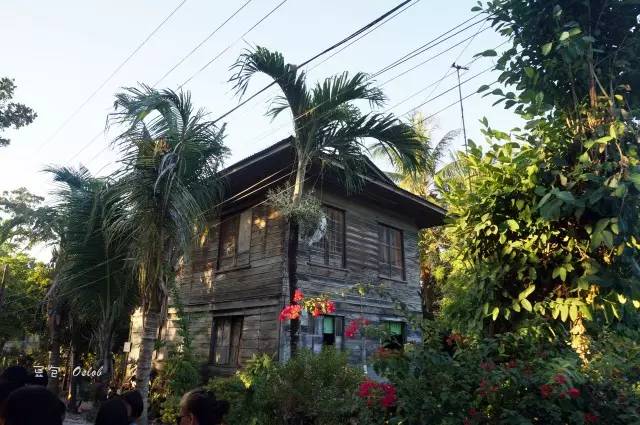 除了鲸鲨，这里还有复活节和GinginLuna的故事