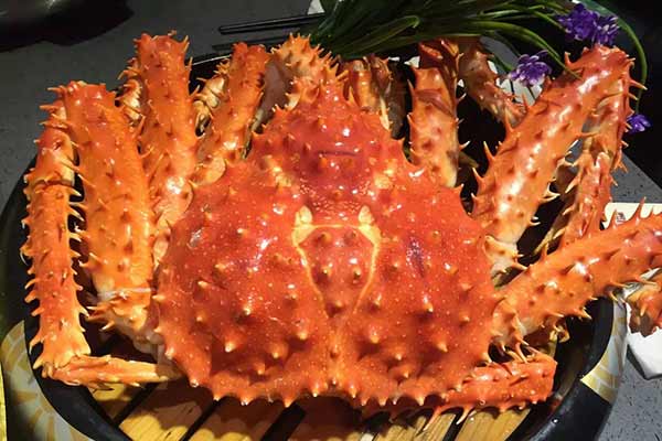 舌尖上的长春美食海底捞,舌尖上的长春视频