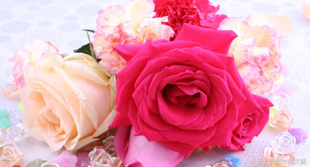 世界上有多少种玫瑰,世界上有五千多朵一模一样的玫瑰