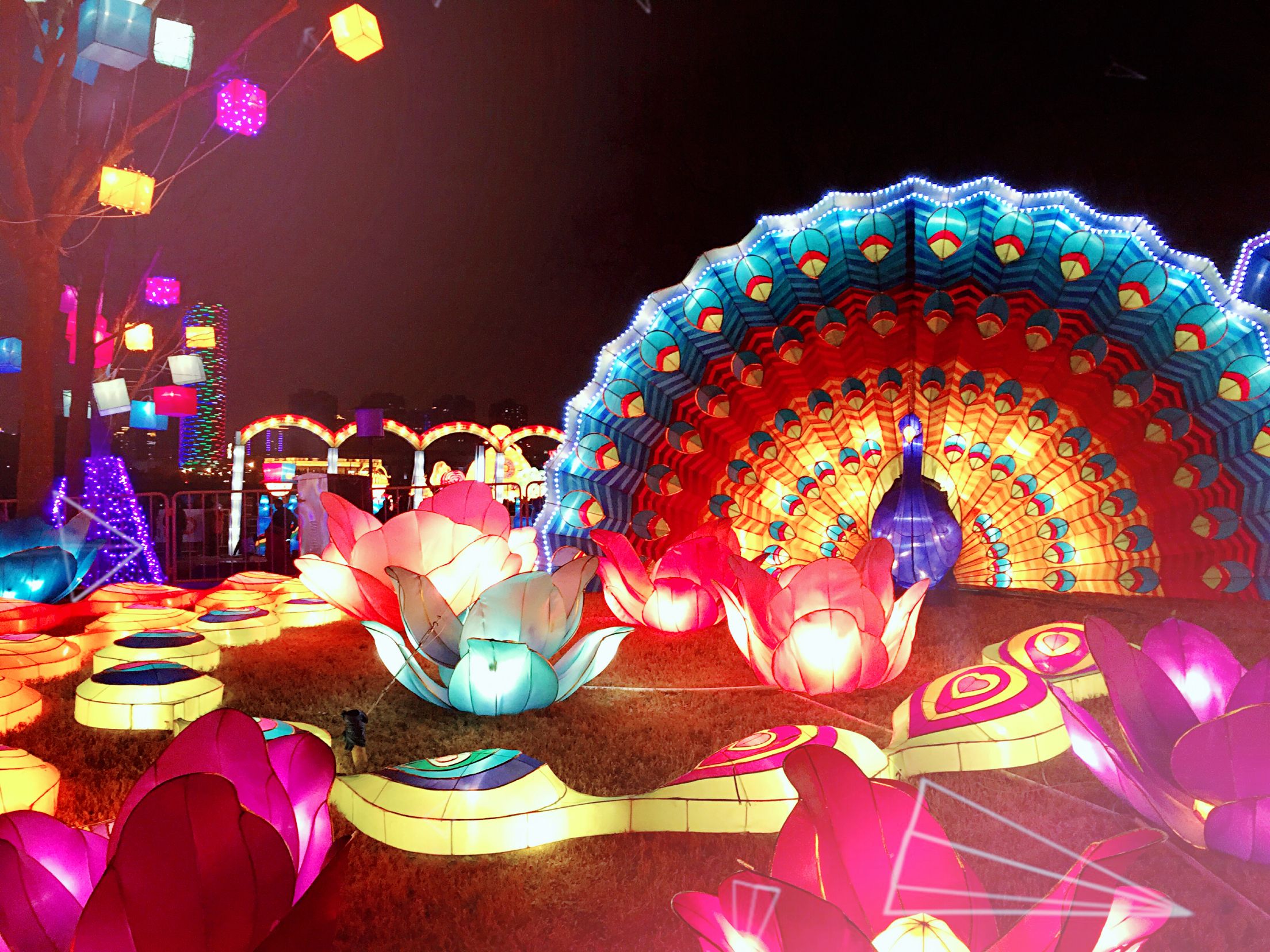 元宵节美文散文,关于元宵节花灯的文章