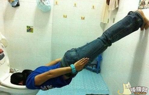 泰迪喝酒喝醉了,泰迪喝醉了怎么办