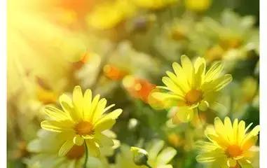 滨州人怎么样,滨州人都怎么样