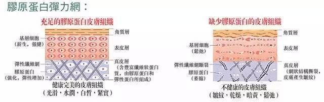 吃什么食物抗衰老美容有胶原蛋白,你以为吃猪蹄真的能补充胶原蛋白