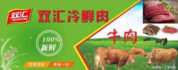 郑州最好的幼儿园推荐,郑州的幼儿园