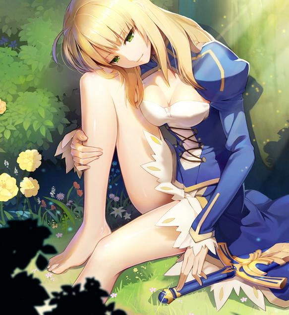 fate呆毛王实力,fate呆毛王和金闪闪谁更强