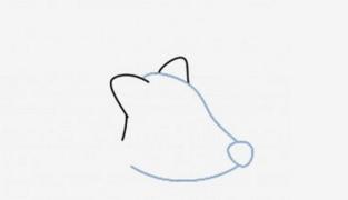 刺猬简笔画简单又漂亮,刺猬简笔画冬眠