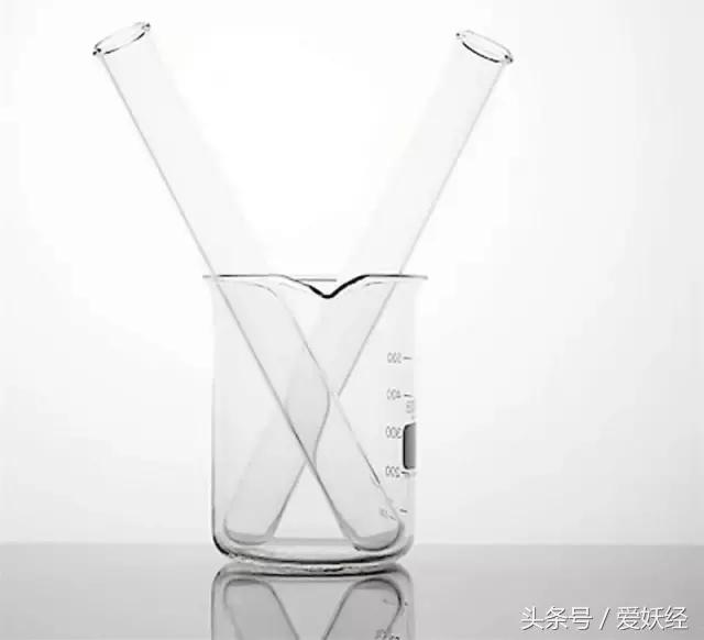 顽皮家族宠物医院怎么样,顽皮家族宠物医院属于什么组织