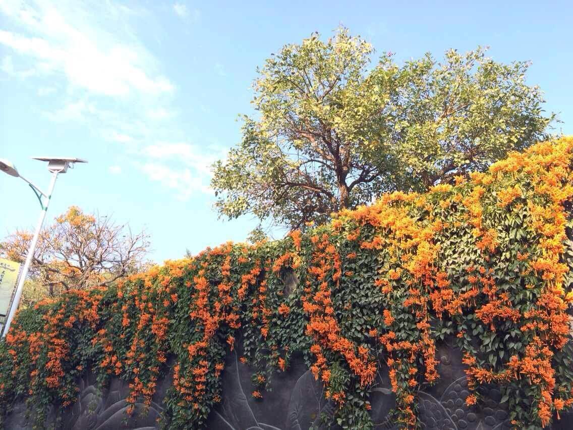 厦门慢节奏攻略,厦门慢生活攻略