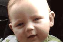 遇到老虎怎么办搞笑段子,动物遇到老虎的搞笑时刻