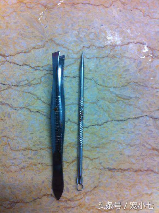 泰迪狗狗牙垢严重的原因,除牙垢泰迪牙膏