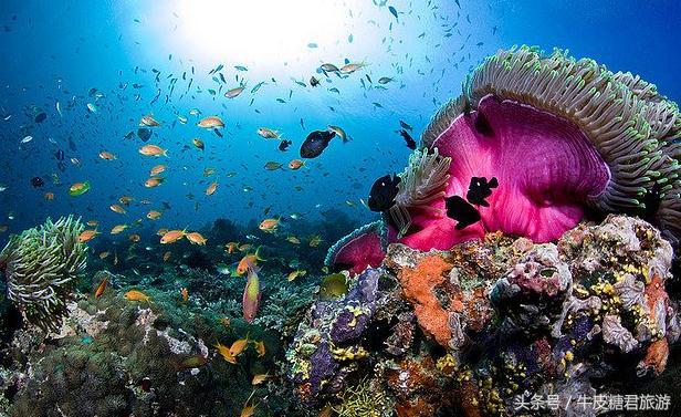 北京工体富国海底世界周边玩乐,北京富国海底世界海洋水族馆