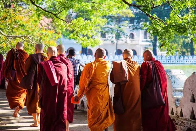 斯里兰卡十天自由行攻略,遇见斯里兰卡