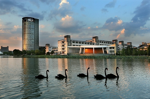 120岁生日倒计百天！爱浙大有120个理由，也许1个已足够！