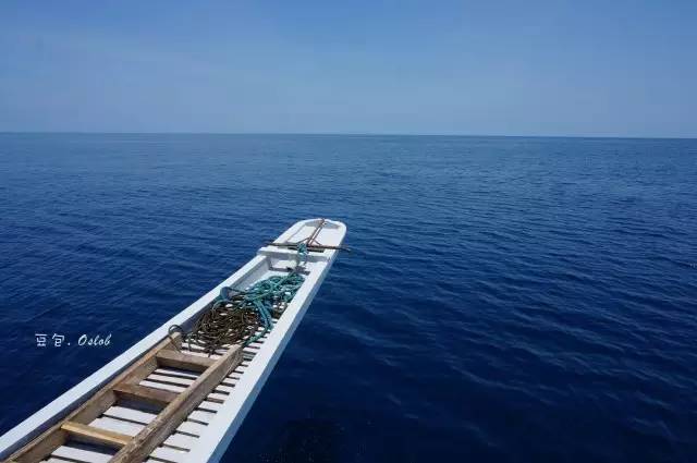 除了鲸鲨，这里还有复活节和GinginLuna的故事