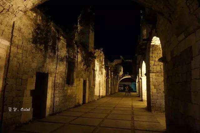 除了鲸鱼海豚还有哪些哺乳动物,除了鲸鲨还有什么鱼比较大