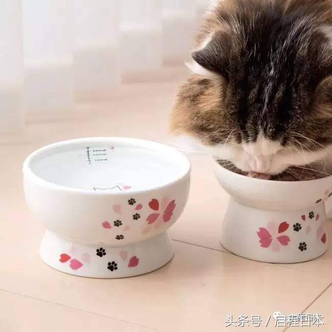 日本樱花限定值得购买吗,日本樱花限量版