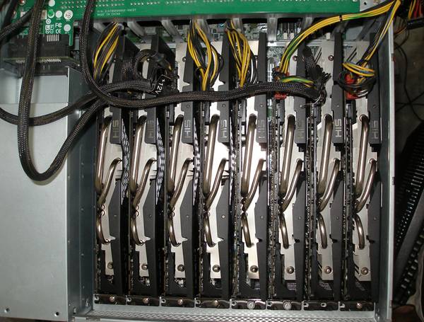 被人黑的油亮,如何洗白?