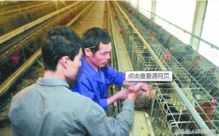 人工授精的具体步骤和规范