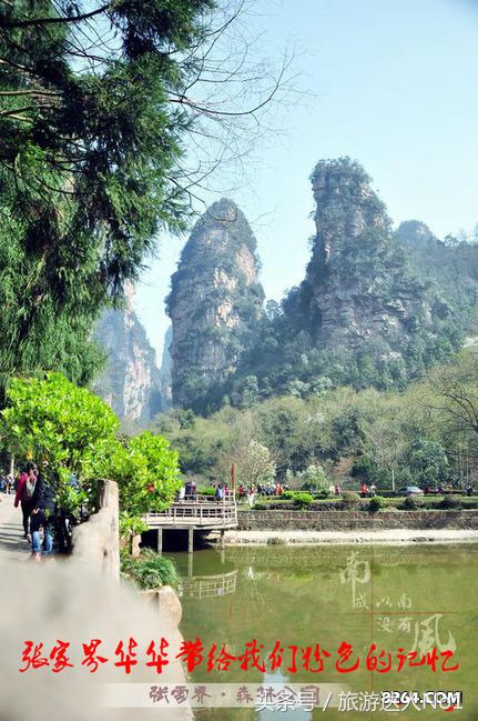 张家界国家森林公园旅游攻略,张家界品质游旅行社旅游攻略