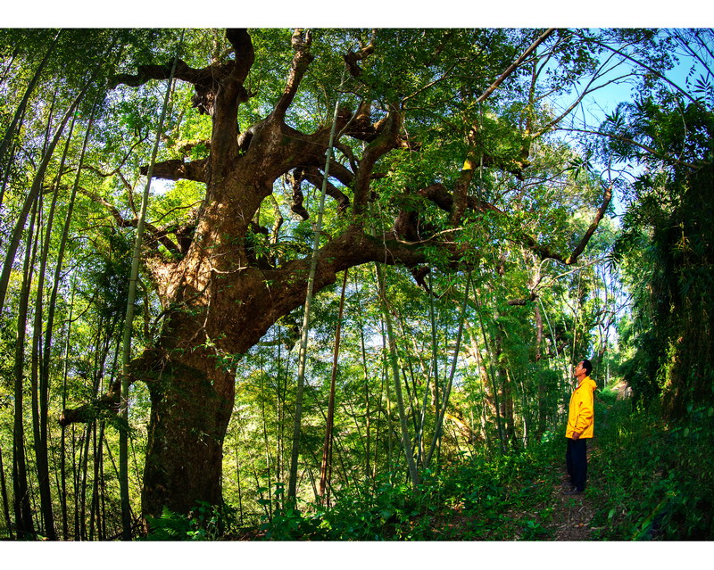 雨天永泰百漈沟景区,别有洞天溶洞